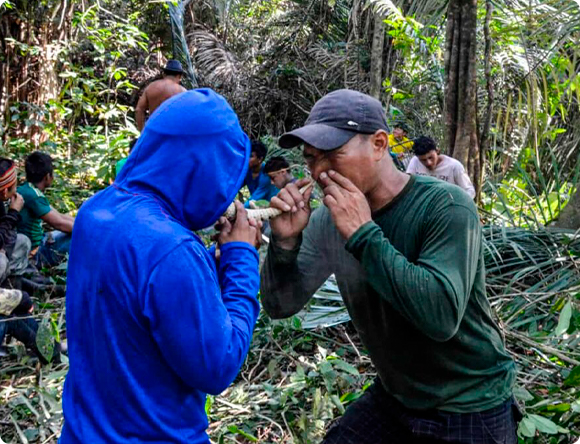 Two men applying rapé to each other in a dense forest setting, surrounded by other individuals engaged in activities among the foliage.